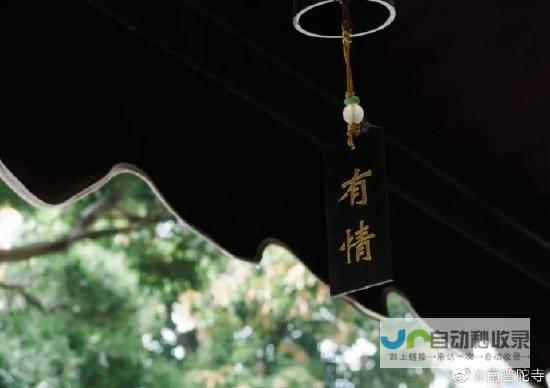 如何评价不同公司网站的设计和用户体验