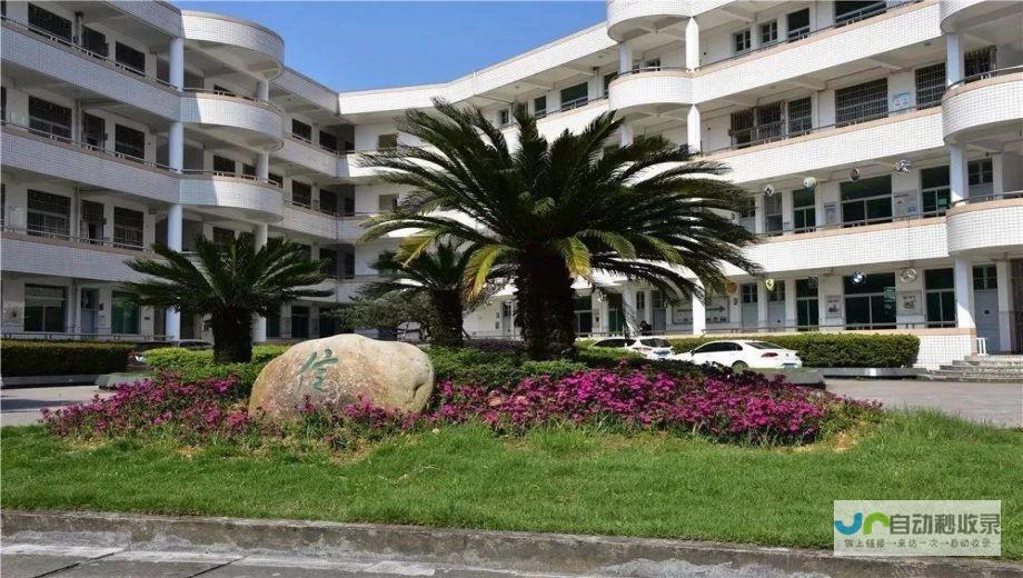 苍南专业网站建设，打造高效便捷的线上营销平台